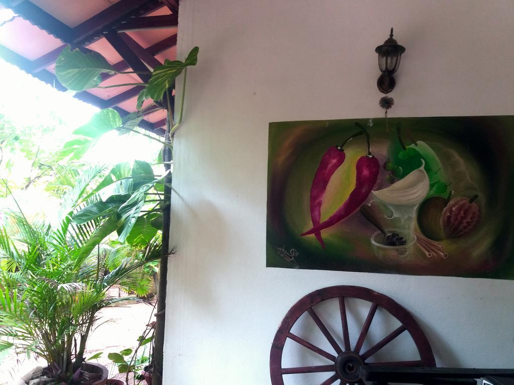 Peacock Wings Guest Ξενοδοχείο Mirissa Εξωτερικό φωτογραφία