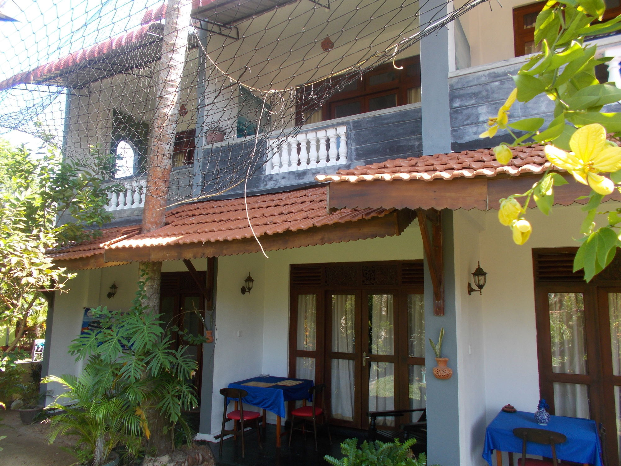 Peacock Wings Guest Ξενοδοχείο Mirissa Εξωτερικό φωτογραφία